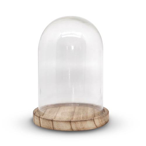 Cloche en verre